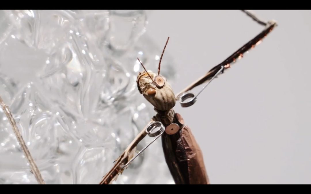 Video della mostra “L’ETERNA METAMORFOSI – Le macchine celibi di Giuseppe Porfilio”